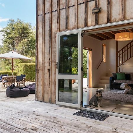 Beech Hill - Pet Friendly Holiday Home Tasman Exterior photo